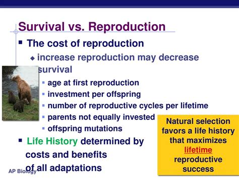 Dispersal Decreases Survival but Increases Reproductive .